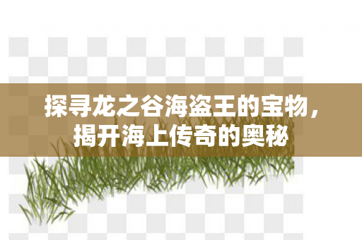 探寻龙之谷海盗王的宝物图片