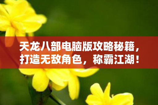 天龙八部电脑版攻略秘籍图片