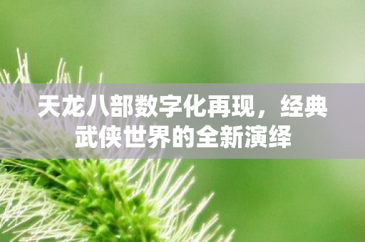 经典武侠世界的全新演绎图片