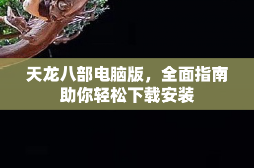 全面指南助你轻松下载安装图片