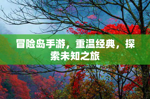 冒险岛手游,重温经典,探索未知之旅 冒险岛手游,重温经典,探索未知之旅
