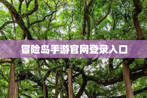 冒险岛手游官网登录入口图片