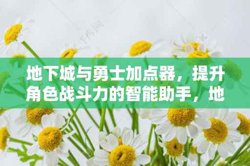 提升角色战斗力的智能助手图片