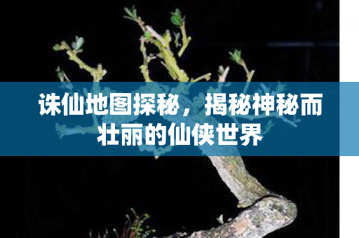揭秘神秘而壮丽的仙侠世界图片