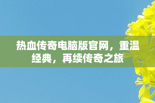 热血传奇电脑版官网图片