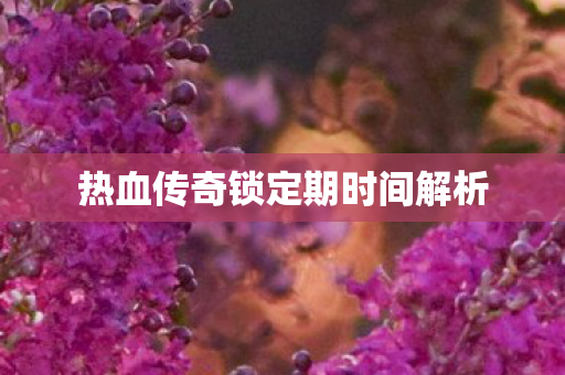 热血传奇锁定期时间解析图片