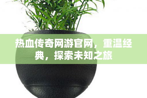热血传奇网游官网图片