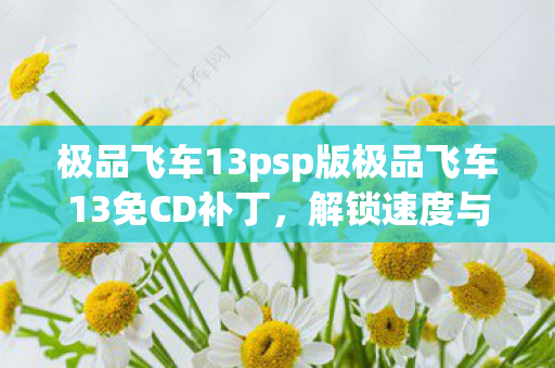 极品飞车13psp版极品飞车13免CD补丁,解锁速度与激情的钥匙,极品飞车13免CD补丁,解锁速度与激情的钥匙 极品飞车13psp版极品飞车13免CD补丁,解锁速度与激情的钥匙,极品飞车13免CD补丁,解锁速度与激情的钥匙