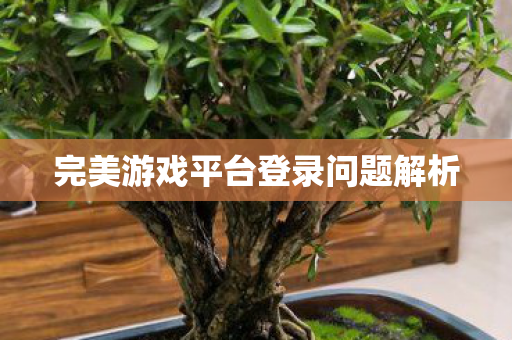 完美游戏平台登录问题解析图片