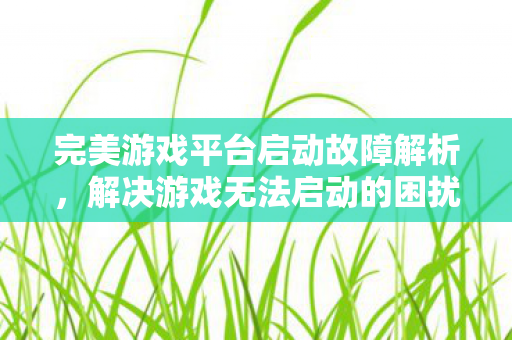 完美游戏平台启动故障解析图片