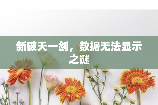 数据无法显示之谜图片