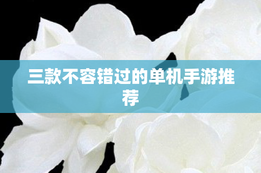 三款不容错过的单机手游推荐图片