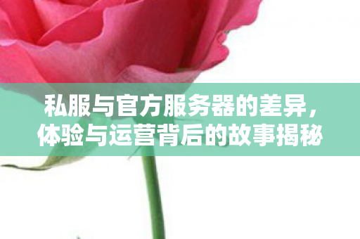 体验与运营背后的故事揭秘图片
