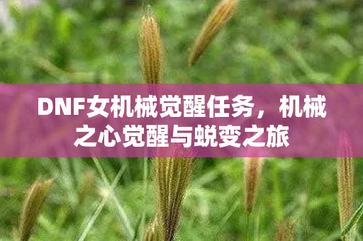 机械之心觉醒与蜕变之旅图片