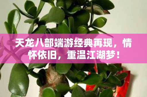 天龙八部端游经典再现图片