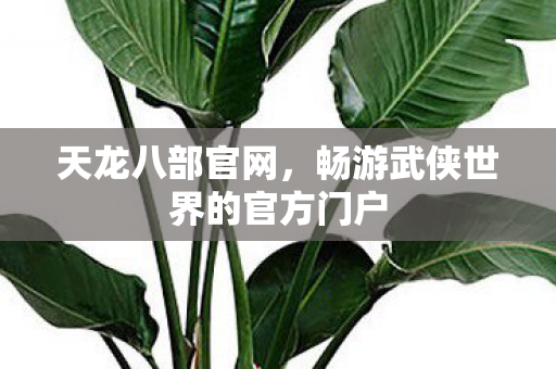 畅游武侠世界的官方门户图片