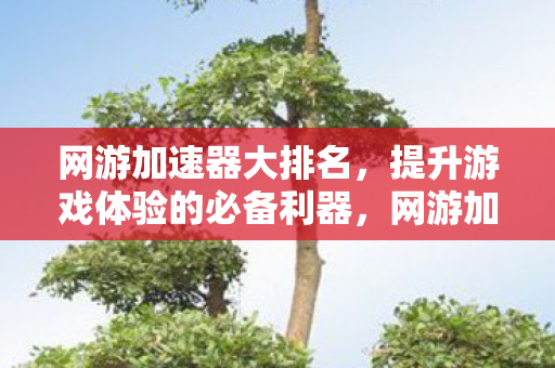 网游加速器大排名,提升游戏体验的必备利器,网游加速器大排名,提升游戏体验的必备利器 网游加速器大排名,提升游戏体验的必备利器,网游加速器大排名,提升游戏体验的必备利器