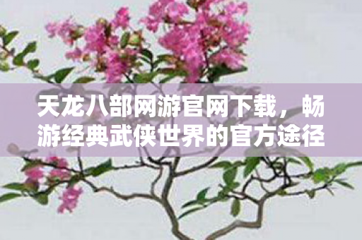 畅游经典武侠世界的官方途径图片