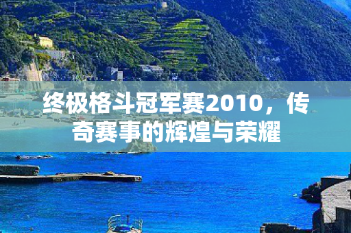 终极格斗冠军赛2010图片