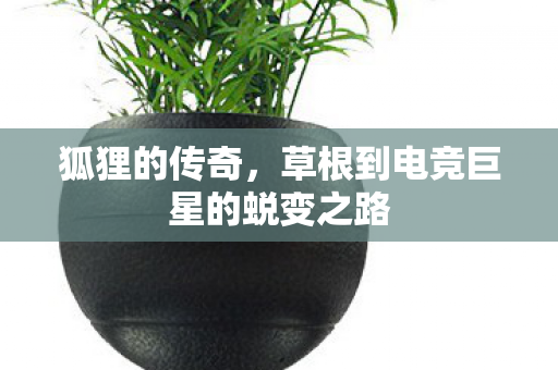 草根到电竞巨星的蜕变之路图片