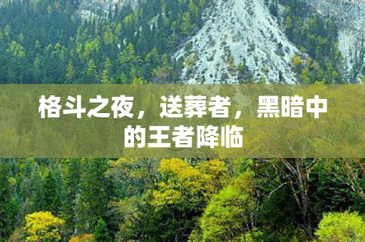 黑暗中的王者降临图片