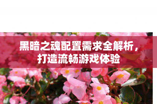 黑暗之魂配置需求全解析图片
