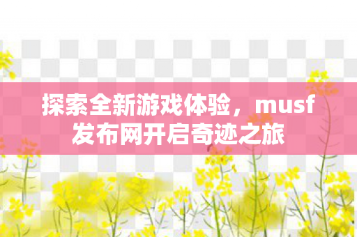 musf发布网开启奇迹之旅图片