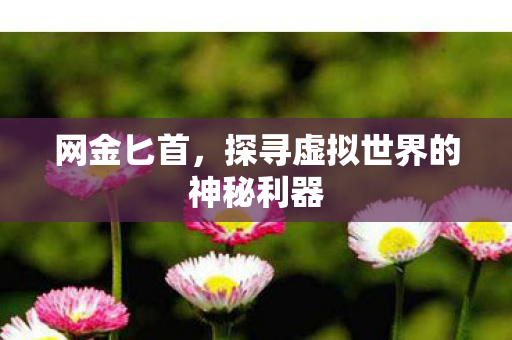 探寻虚拟世界的神秘利器图片