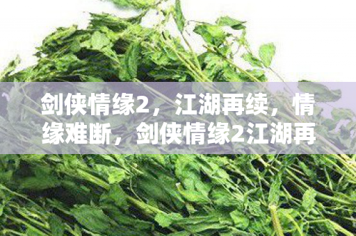 剑侠情缘2,江湖再续,情缘难断,剑侠情缘2江湖再续,情缘难断 剑侠情缘2,江湖再续,情缘难断,剑侠情缘2江湖再续,情缘难断