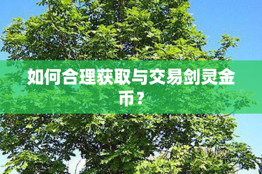 如何合理获取与交易剑灵金币图片