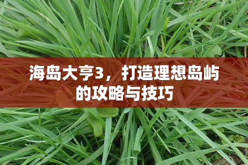 打造理想岛屿的攻略与技巧图片