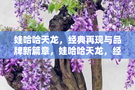 经典再现与品牌新篇章图片