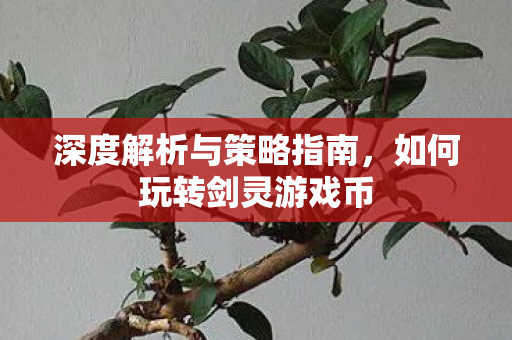 深度解析与策略指南图片