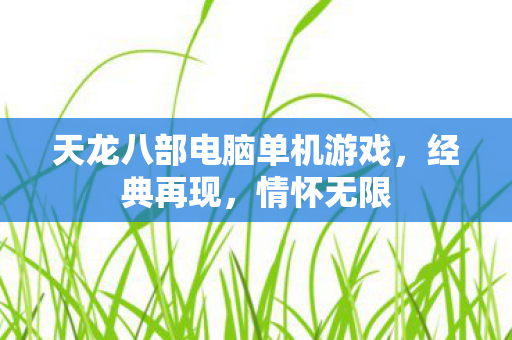 天龙八部电脑单机游戏图片