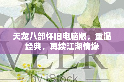 天龙八部怀旧电脑版图片