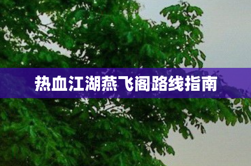 热血江湖燕飞阁路线指南图片