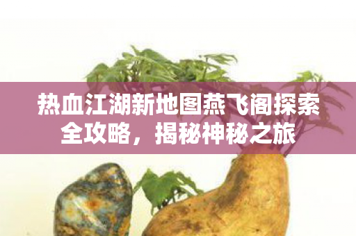 热血江湖新地图燕飞阁探索全攻略图片