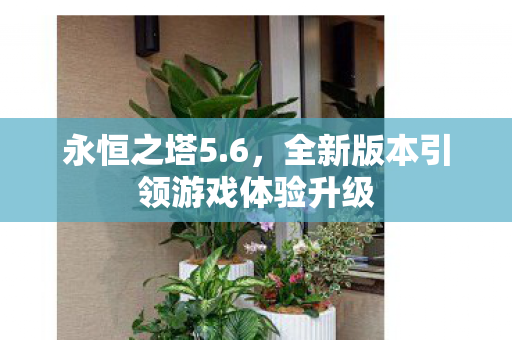 全新版本引领游戏体验升级图片
