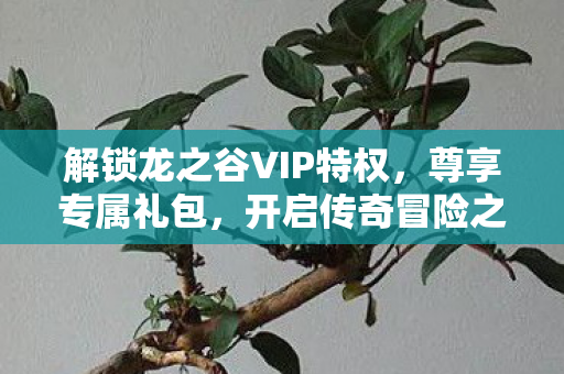解锁龙之谷VIP特权，尊享专属礼包，开启传奇冒险之旅，解锁VIP特权，开启龙之谷传奇冒险之旅