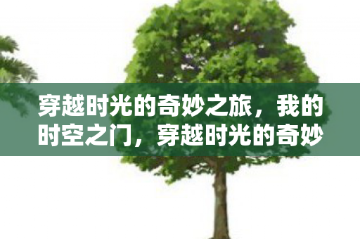 穿越时光的奇妙之旅，我的时空之门，穿越时光的奇妙之旅，我的时空之门