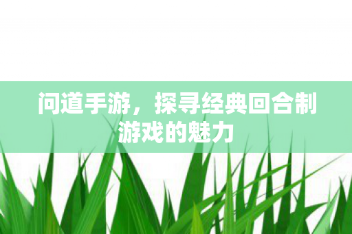 探寻经典回合制游戏的魅力图片