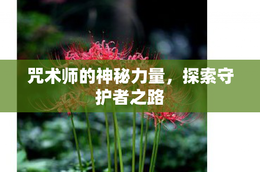 咒术师的神秘力量图片
