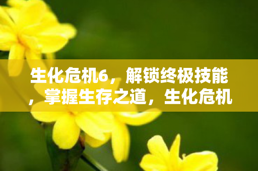 生化危机6，解锁终极技能，掌握生存之道，生化危机6解锁终极技能，助你掌握生存之道