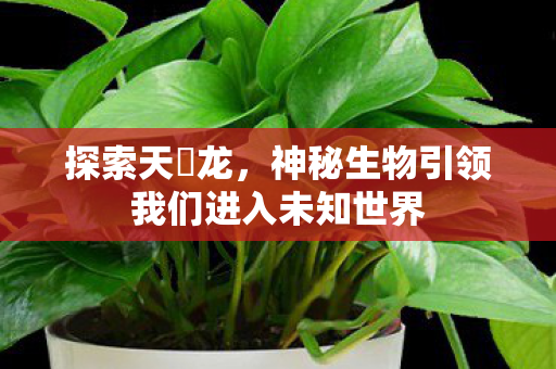 神秘生物引领我们进入未知世界图片