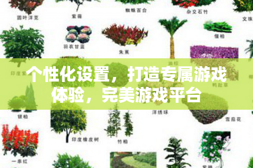 打造专属游戏体验图片
