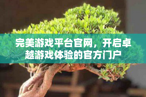 开启卓越游戏体验的官方门户图片