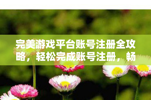 完美游戏平台账号注册全攻略图片