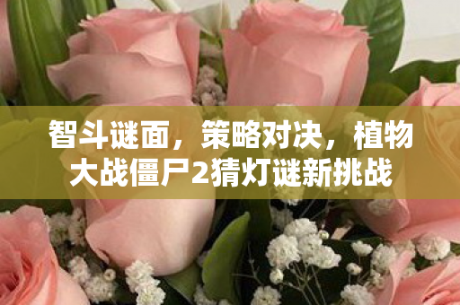 植物大战僵尸2猜灯谜新挑战图片