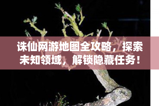 诛仙网游地图全攻略图片