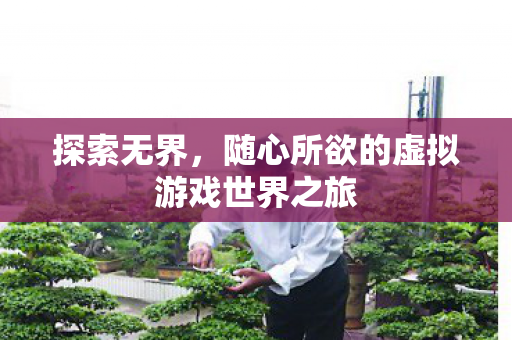 随心所欲的虚拟游戏世界之旅图片